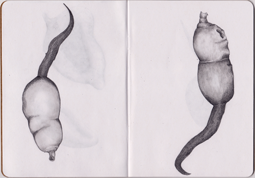 Life Underground sketchbook page